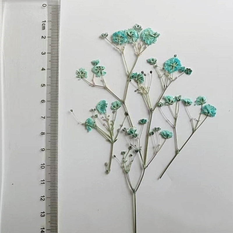 Baby's Breath DIY getrocknetes Blumen Material Pack c