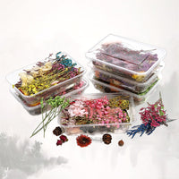 16. Ensemble Complet (10% DE RÉDUCTION)