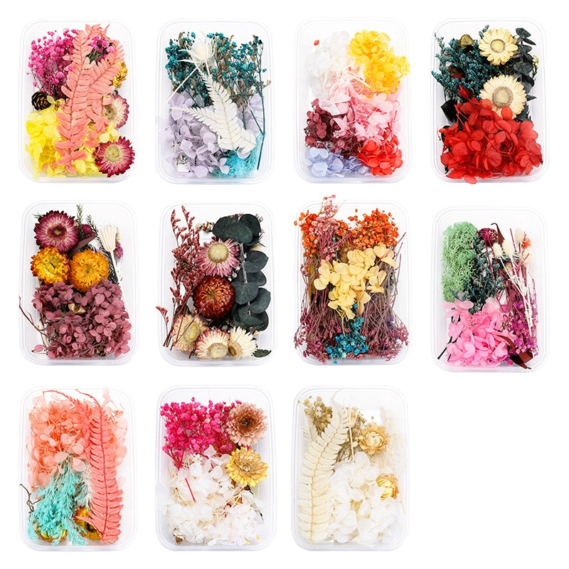 Fleurs séchées et conservées décoratives en boîte a