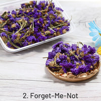 2. Myosotis 40g