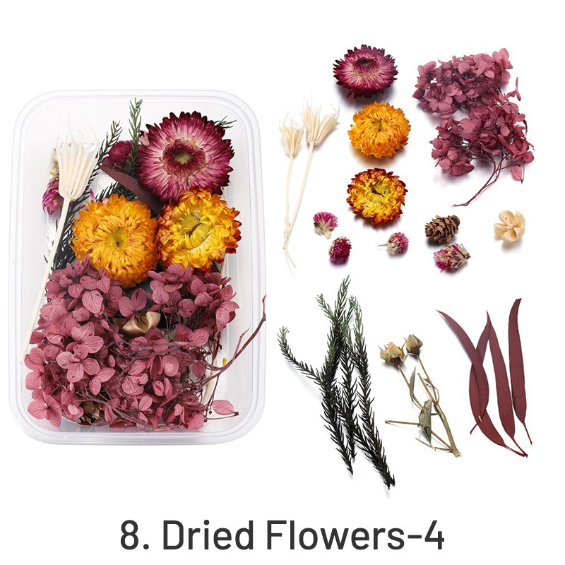 Fleurs Séchées Conservées Décoratives en Boîte sku-8