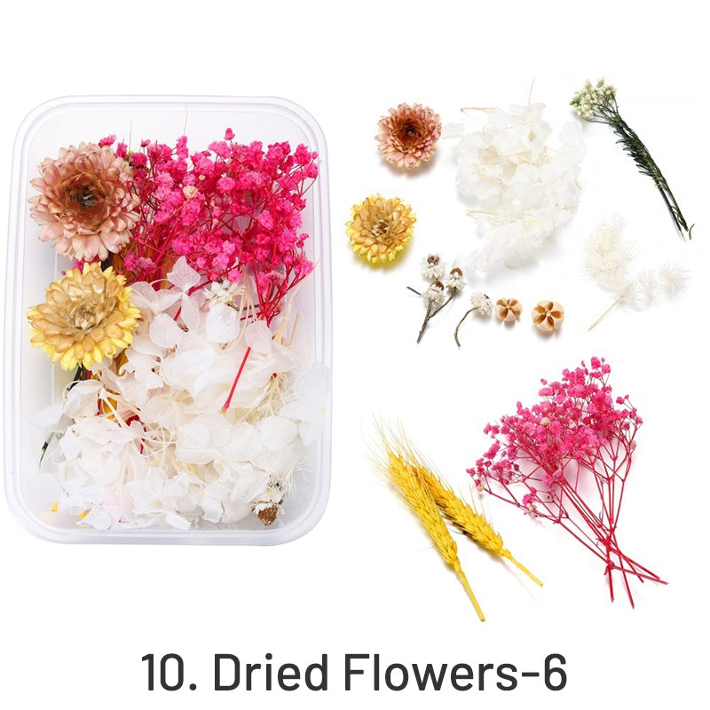 Fleurs séchées conservées décoratives en boîte sku-10