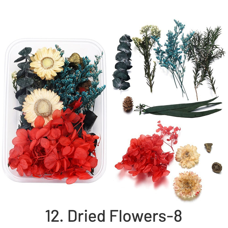 Fleurs séchées préservées décoratives en boîte sku-12