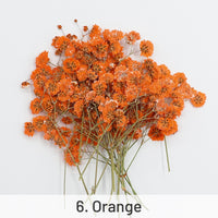 6. Orange