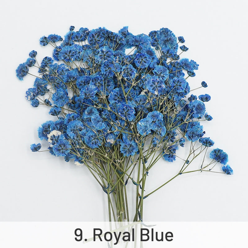 Schleierkraut DIY Trockenblumen Material Set sku-9